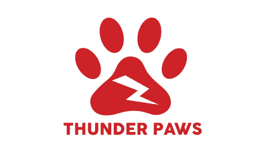 Thunder Paws