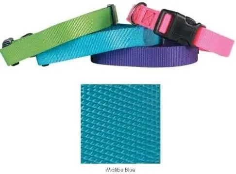 Guardian Gear collar L malibu blue
