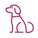 Dogs